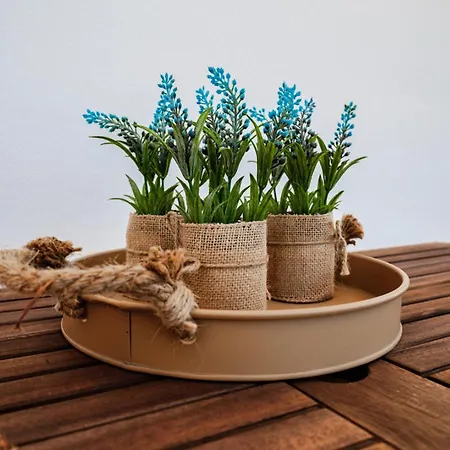 Narcissos 'nissi Beach' E9 Apartman